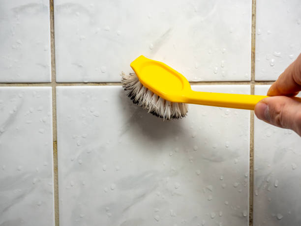 Best Certified Mold Removal  in Superior, WI