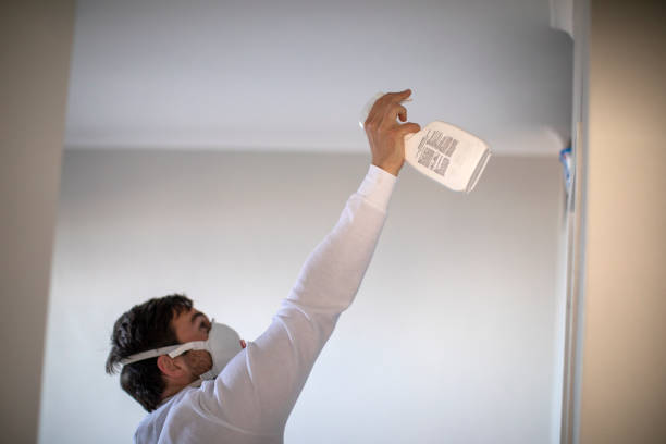 Best Mold Damage Repair  in Superior, WI