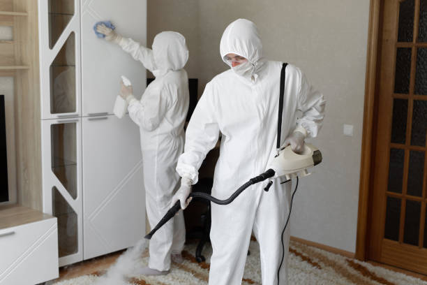 Certified Mold Removal in Superior, WI